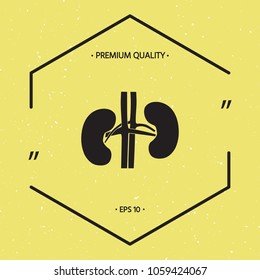 Human organs. Kidney icon