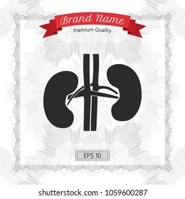 Human organs. Kidney icon