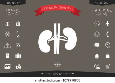 Human organs. Kidney icon