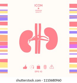 Human organs. Kidney icon