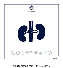 Human organs. Kidney icon