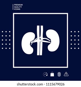 Human organs. Kidney icon