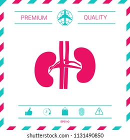 Human organs. Kidney icon