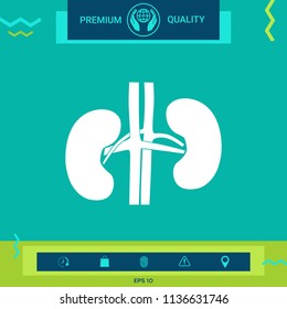 Human organs. Kidney icon