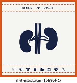 Human organs. Kidney icon