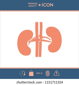 Human organs. Kidney icon