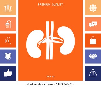 Human organs. Kidney icon