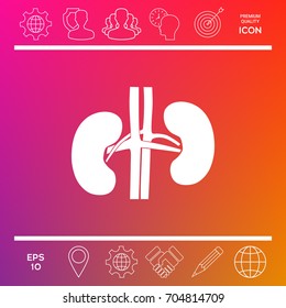 Human organs. Kidney icon