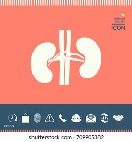 Human organs. Kidney icon