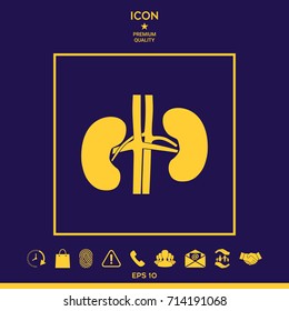 Human organs. Kidney icon