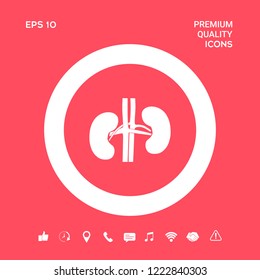 Human organs. Kidney icon. Graphic elements for your design