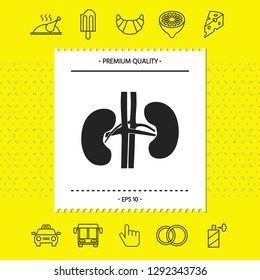 Human organs. Kidney icon. Graphic elements for your design