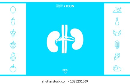 Human organs. Kidney icon. Graphic elements for your design
