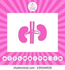 Human organs. Kidney icon. Graphic elements for your design