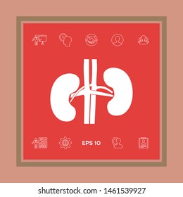 Human organs. Kidney icon. Graphic elements for your design