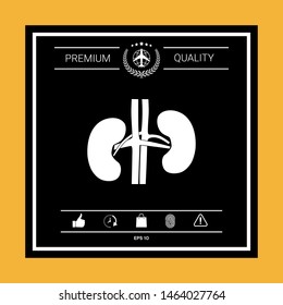 Human organs. Kidney icon. Graphic elements for your design
