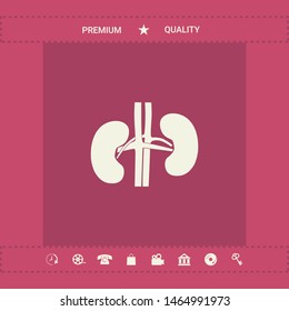 Human organs. Kidney icon. Graphic elements for your design