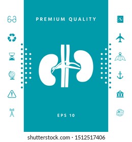 Human organs. Kidney icon. Graphic elements for your design