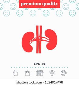 Human organs. Kidney icon. Graphic elements for your design