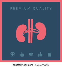 Human organs. Kidney icon. Graphic elements for your design