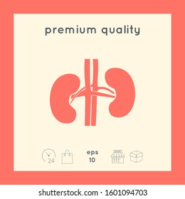 Human organs. Kidney icon. Graphic elements for your design