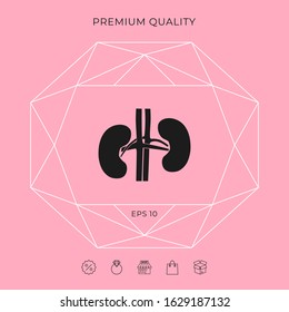 Human organs. Kidney icon. Graphic elements for your design