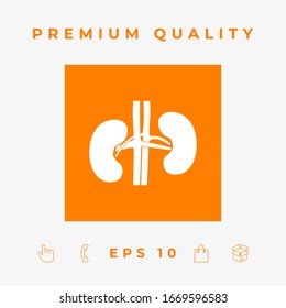 Human organs. Kidney icon. Graphic elements for your design