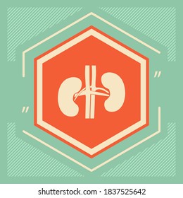 Human organs. Kidney icon. Graphic elements for your design