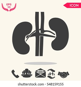 Human organs. Kidney silhouette icon