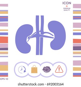 Human organs. Kidney silhouette icon