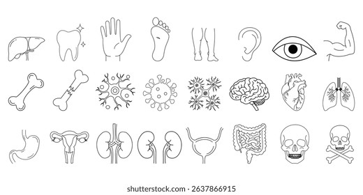 Human organs line icon set