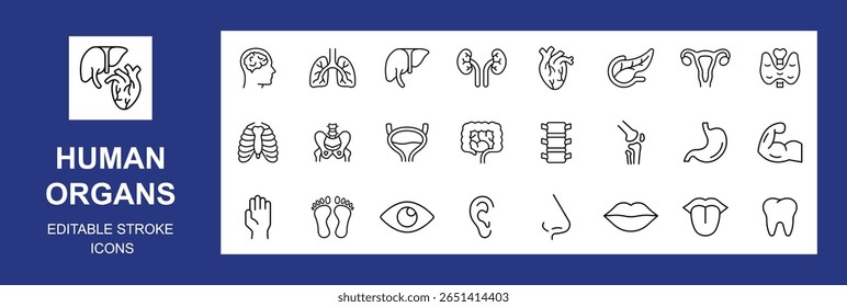 Conjunto de ícones da linha de órgãos humanos. Pictogramas vetoriais de anatomia, partes do corpo, rim, pâncreas, intestino, tireoide, pelve, esqueleto, articulação, mão, nariz, boca, língua, AVC editável. Ilustração vetorial
