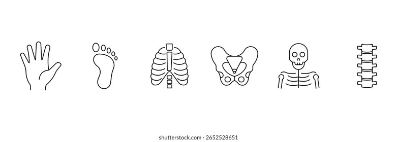 Conjunto de ícones da linha de órgãos humanos. Anatomia, partes do corpo, rim, bexiga, pâncreas, intestino, tireoide, pelve, esqueleto, articulação, mão, nariz, boca, língua e muito mais. Ilustração vetorial.