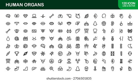 Conjunto de iconos de línea de órganos humanos: Colección de Vector mínimo de Profesional para conceptos médicos, anatomía y de salud