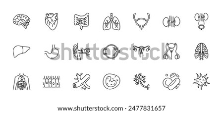 Human organs, line icon set - brain, heart, intestine, lungs, kidneys, liver, stomach, hearing, vision, reproductive system, ribs, skin, blood cells, vessels, neuron. Anatomy signs. Editable strokes
