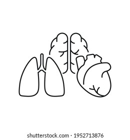 Human organs linear icon. Donation. Lungs heart, brain. Surgical medicine. Thin line customizable illustration. Contour symbol. Vector isolated outline drawing. Editable stroke
