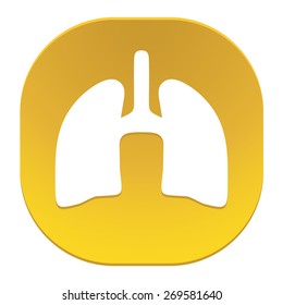 Human organs. Lungs icon.