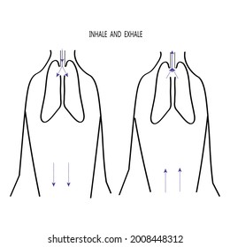 Human organs. Lungs. Inhale and exhale.Line ,vector.