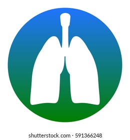 Human organs Lungs sign. Vector. White icon in bluish circle on white background. Isolated.