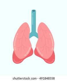 Human organs lungs vector concept illustration 