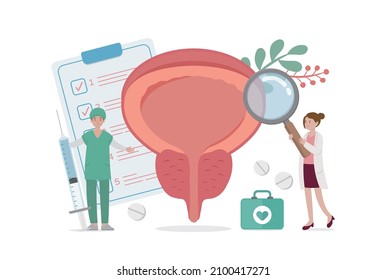 Human organs of male prostate with doctor or nurse or medical staff for health check, vector comic cartoon