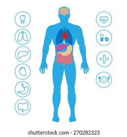 Human Organs Medical Icons Stock Vector (Royalty Free) 270282323 ...