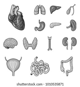 Human organs monochrome icons in set collection for design. Anatomy and internal organs vector symbol stock web illustration.