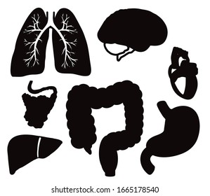 Human organs on a white background. Symbol. Vector illustration.