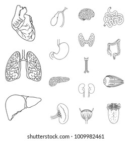 Human organs outline icons in set collection for design. Anatomy and internal organs vector symbol stock web illustration.