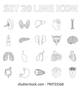 Human organs outline icons in set collection for design. Anatomy and internal organs vector symbol stock web illustration.