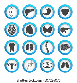 Human organs and parts icon set, icons on white round pads, 2d icon vector collection, eps 10