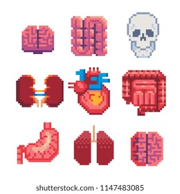 Human organs pixel art icons set. Brain, skull, heart, lungs, intestines, kidneys and stomach isolated vector illustration. Design stickers, logo, app, anatomy, science, medicine, education. 8-bit.