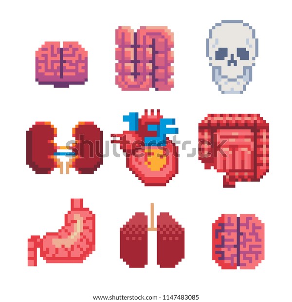 Как сделать пиксельный голос. Пиксельный орган. Пиксельные лёгкие орган. Легкие орган пиксель арт. Пиксельный мозг.