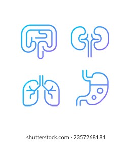 Los órganos humanos píxel gradiente perfecto conjunto de iconos vectoriales lineales. Sistema gastrointestinal. Trasplante de órganos. El símbolo de contorno delgado diseña el paquete. Colección de ilustraciones de esquema aisladas